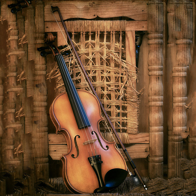 Violin Bow Violin Player Learn - Musical Instrument Shop ulasan dan harga