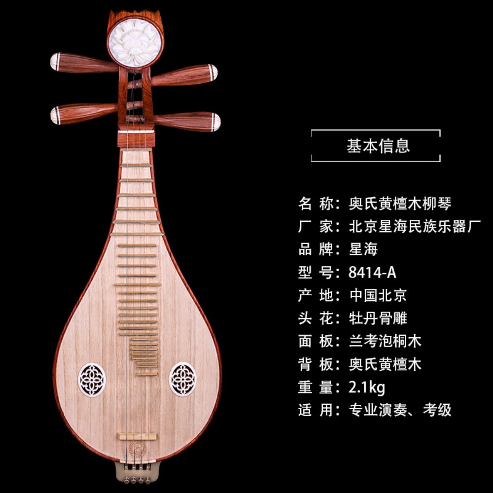 Beijing Xinghai 8414-A Rosewoo - Musical Instruments ulasan dan harga